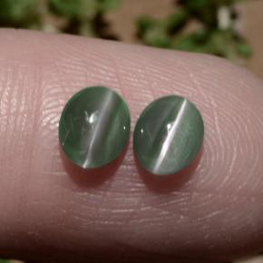 Achetez naturel 1,06ct vert chrysoberyl cat's eye gems, coupe ovale, en provenance inde chez gemselect. en stock, livraison internationale!
