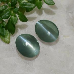 Achetez naturel 0.99ct Vert Oeil de Chat Chrysobéryl gems, Coupe ovale, En provenance Inde chez GemSelect. En stock, livraison internationale!
