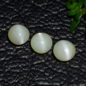 Achetez naturel 1,31ct vert chrysobéryl œil de chat gems, coupe roude, en provenance inde chez gemselect. en stock, livraison internationale!