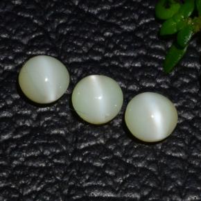 Achetez naturel 1,31ct vert chrysobéryl œil de chat gems, coupe roude, en provenance inde chez gemselect. en stock, livraison internationale!