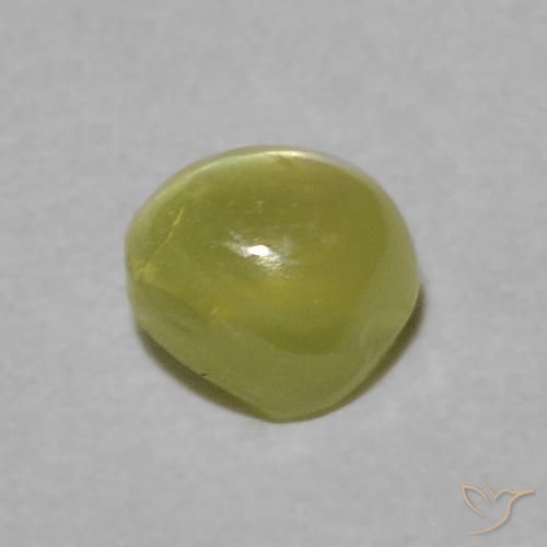 Oeil de Chat Chrysobéryl Vert clair naturelle Tour, 0.39 ct, Transparent