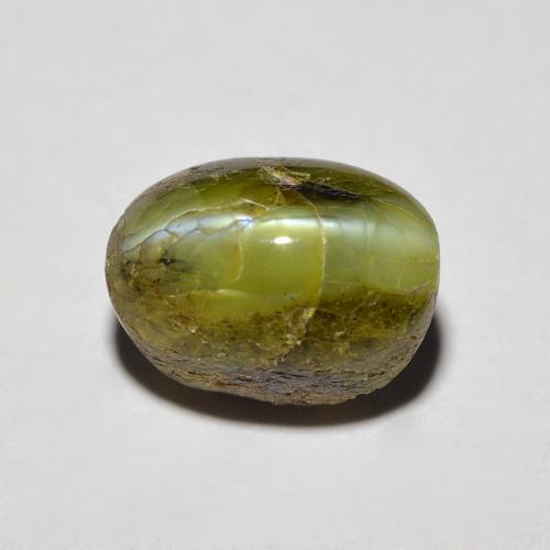 Chrysoberyl cat's eye vert naturelle coupe ovale, 3,69 ct, opaque