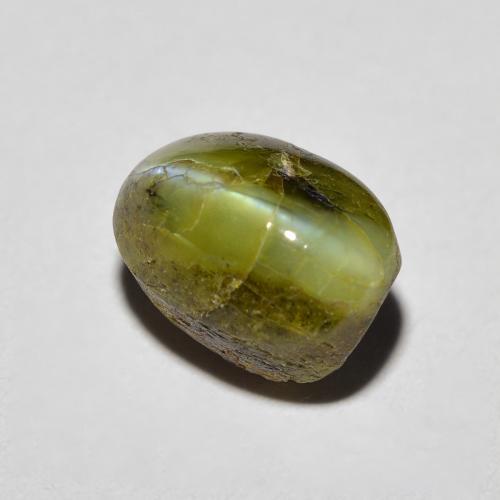 Chrysoberyl cat's eye vert naturelle coupe ovale, 3,69 ct, opaque