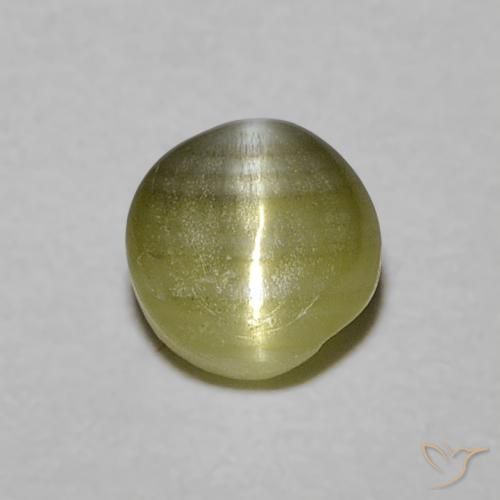 0.52ct Naturel Vert jaunâtre Oeil de Chat Chrysobéryl, Tour, Translucide