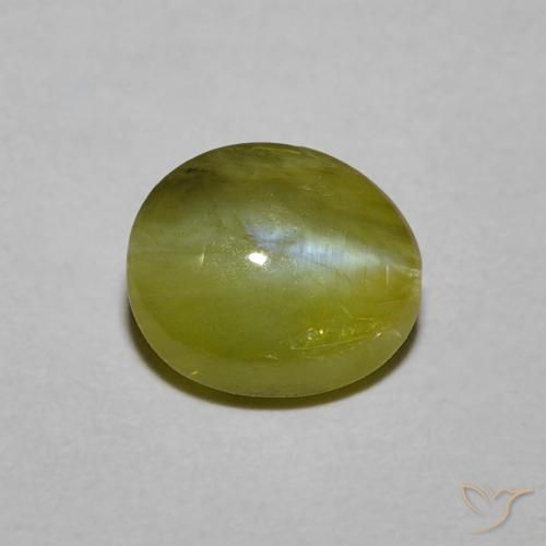 Chrysoberyl cat's eye vert naturelle coupe ovale, 1,21 ct, translucide