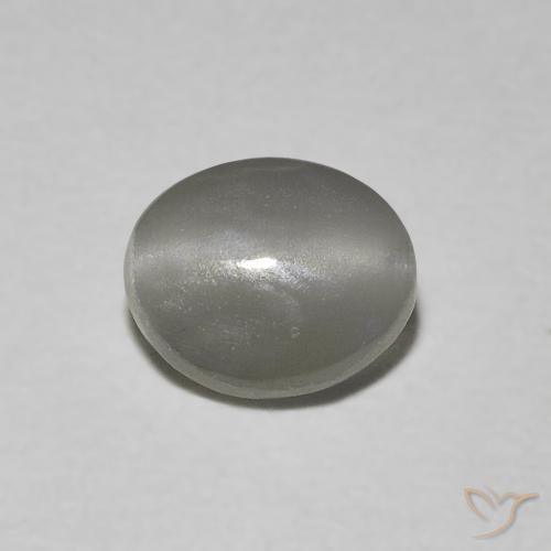 0.66ct Naturel Gris très clair Oeil de Chat Chrysobéryl, ovale, Translucide