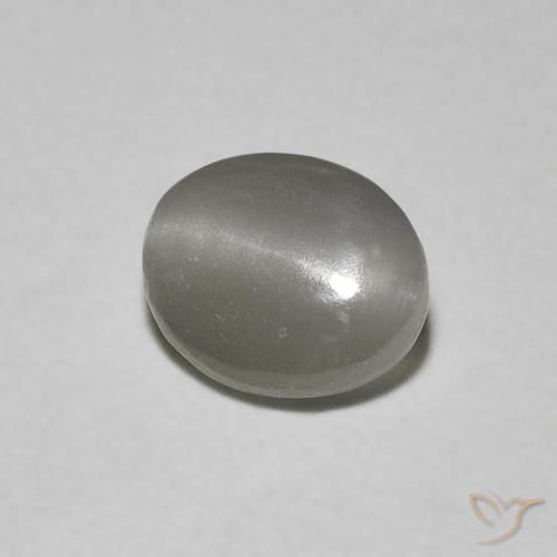 Oeil de Chat Chrysobéryl Gris très clair naturelle ovale, 0.66 ct, Translucide
