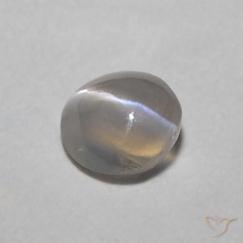 Oeil de Chat Chrysobéryl Gris très clair naturelle ovale, 0.32 ct, Translucide