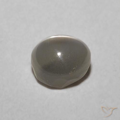 Oeil de Chat Chrysobéryl Gris très clair naturelle ovale, 0.57 ct, Translucide