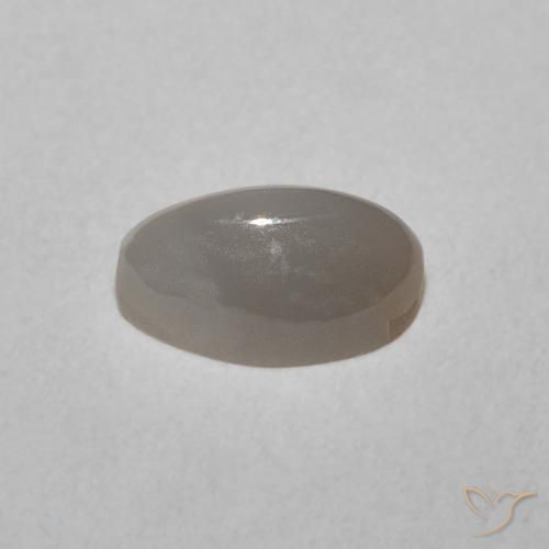 Oeil de Chat Chrysobéryl Gris très clair naturelle ovale, 0.77 ct, Translucide