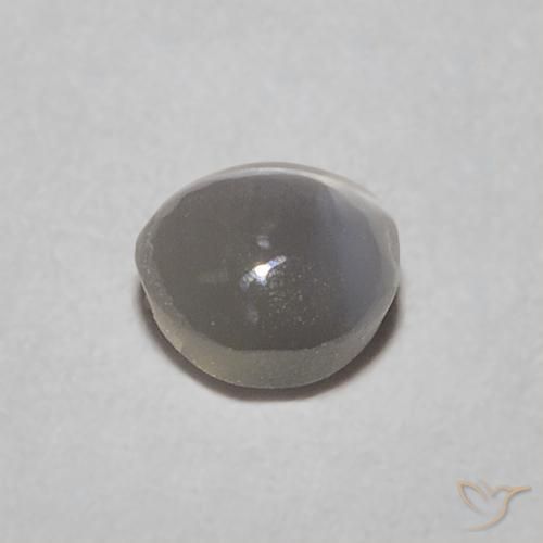 Oeil de Chat Chrysobéryl Warm Grey naturelle ovale, 0.38 ct, Translucide