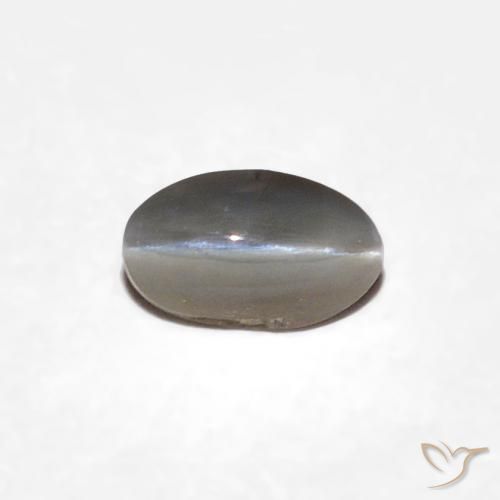0.29ct Naturel Gris très clair Oeil de Chat Chrysobéryl, ovale, Opaque