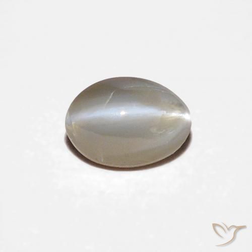 Oeil de Chat Chrysobéryl Gris très clair naturelle ovale, 0.34 ct, Opaque