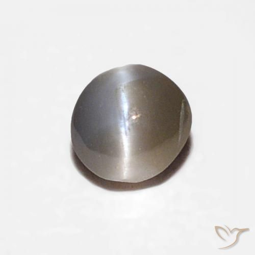 0.16ct Naturel Noir grisâtre Oeil de Chat Chrysobéryl, ovale, Opaque