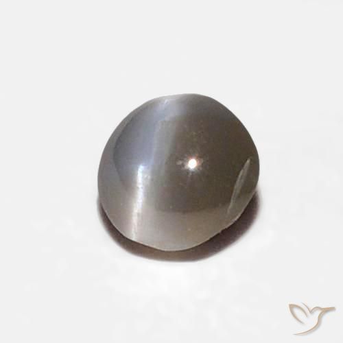 Oeil de Chat Chrysobéryl Noir grisâtre naturelle ovale, 0.16 ct, Opaque