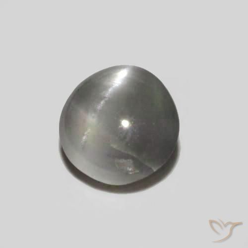 Oeil de Chat Chrysobéryl Reddish Grey naturelle ovale, 0.36 ct, Opaque