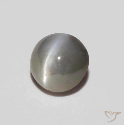 Oeil de Chat Chrysobéryl Gris très clair naturelle ovale, 0.24 ct, Opaque