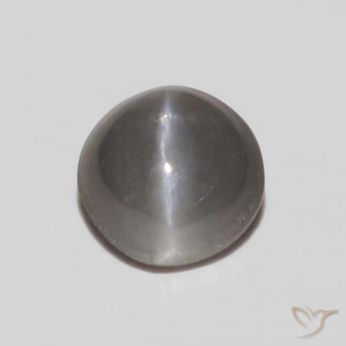 0.29ct Naturel Gris argent Oeil de Chat Chrysobéryl, ovale, Opaque