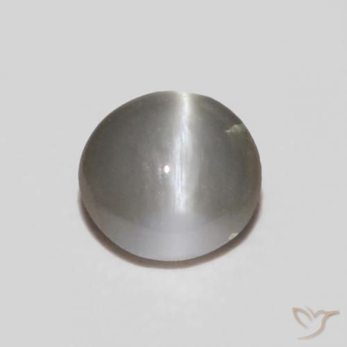 Oeil de Chat Chrysobéryl Gris moyen naturelle ovale, 0.24 ct, Opaque