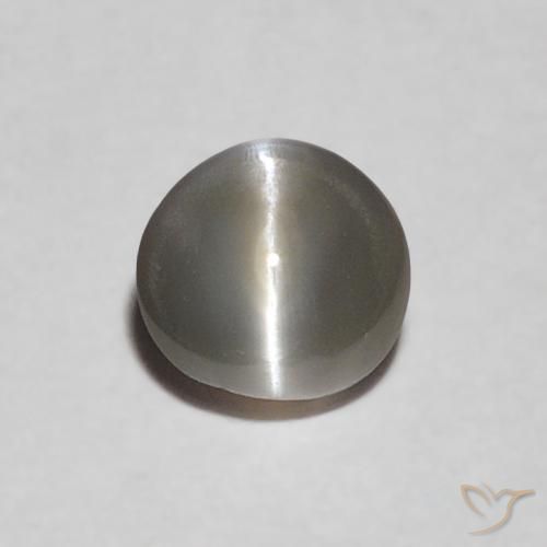 0.30ct Naturel Gris très clair Oeil de Chat Chrysobéryl, ovale, Opaque