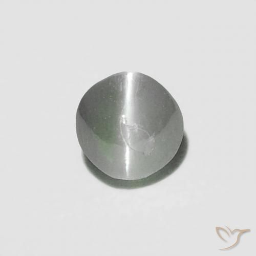 0.16ct Naturel Medium Dark-Grey Oeil de Chat Chrysobéryl, Tour, Opaque