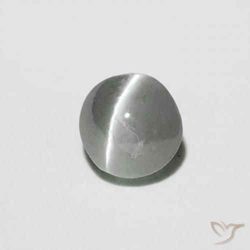 Oeil de Chat Chrysobéryl Medium Dark-Grey naturelle Tour, 0.16 ct, Opaque