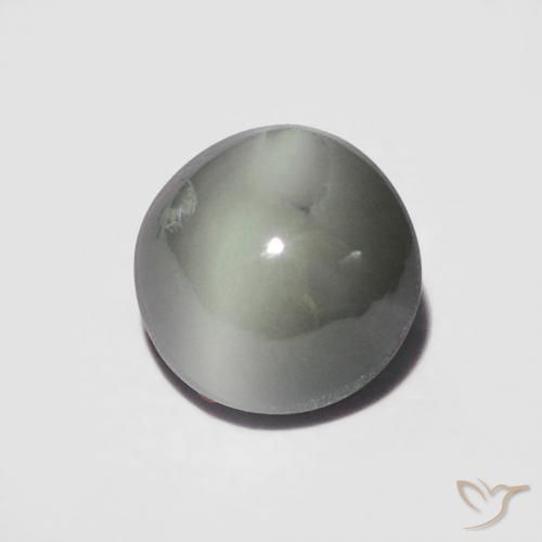 Oeil de Chat Chrysobéryl Gris moyen naturelle Tour, 1.06 ct, Opaque
