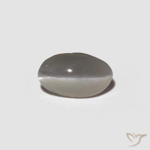 0.29ct Naturel Gris très clair Oeil de Chat Chrysobéryl, ovale, Opaque