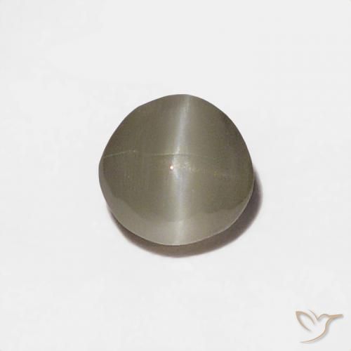 0.20ct Naturel Gris très clair Oeil de Chat Chrysobéryl, Tour, Opaque