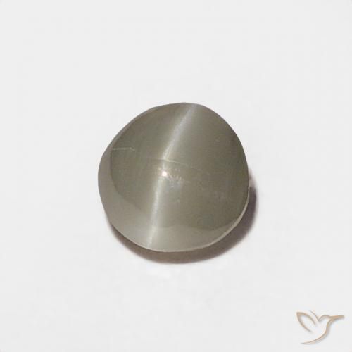 Oeil de Chat Chrysobéryl Gris très clair naturelle Tour, 0.20 ct, Opaque
