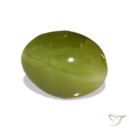 Oeil de Chat Chrysobéryl Forêt verte naturelle ovale, 5.24 ct, Opaque