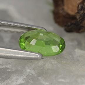 Chrysobéryl vert naturelle coupe ovale, 0,51 ct, VVS-VS