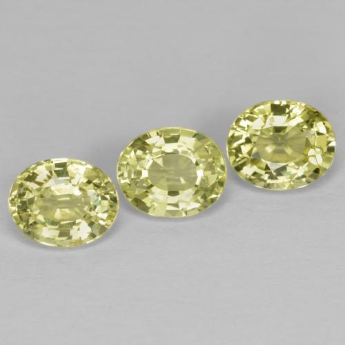 Achetez naturel 1,58ct jaune chrysobéryl gems, coupe ovale, en provenance sri lanka chez gemselect. en stock, livraison internationale!