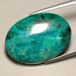 Chrysocolle multicolore naturelle coupe ovale, 19,56 ct, opaque