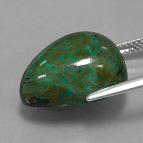Chrysocolle multicolore naturelle en forme de poire, 15,79 ct, opaque