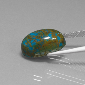 Chrysocolle Multicolore naturelle Coupe ovale, 10.67 ct, Opaque