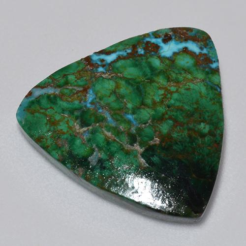 Chrysocolle Multicolore naturelle Trillion, 8.65 ct, Opaque