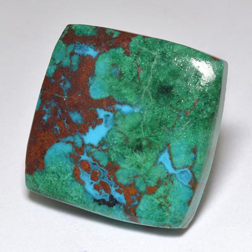 Chrysocolle Multicolore naturelle Carré, 10.69 ct, Opaque
