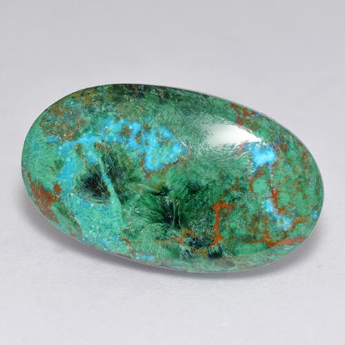 Chrysocolle Multicolore naturelle Coupe ovale, 9.75 ct, Opaque