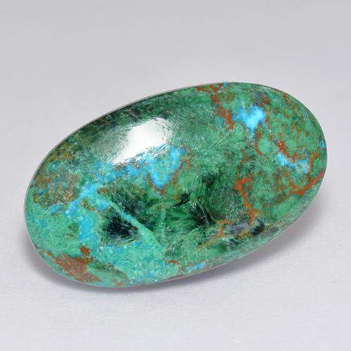 Chrysocolle Multicolore naturelle Coupe ovale, 9.75 ct, Opaque