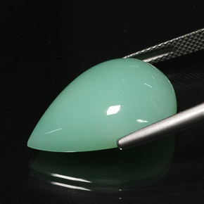 Chrysoprase vert naturelle transparent, 16,75 ct, transparent / translucide
