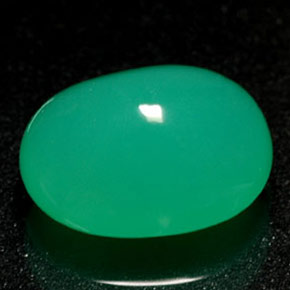 Chrysoprase vert naturelle transparent, 1,69 ct, transparent / translucide