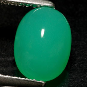 Chrysoprase vert naturelle transparent, 1,69 ct, transparent / translucide
