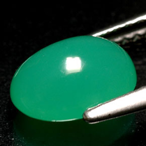 Chrysoprase vert naturelle transparent, 1,69 ct, transparent / translucide