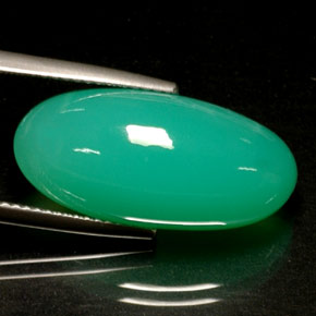 Chrysoprase vert naturelle transparent, 13,72 ct, transparent / translucide