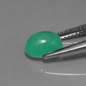 Chrysoprase vert naturelle coupe ovale, 1,67 ct, translucide