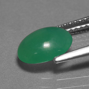 Chrysoprase vert naturelle coupe ovale, 1,55 ct, translucide