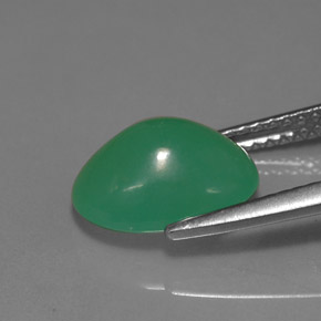Chrysoprase vert naturelle coupe ovale, 3,18 ct, translucide