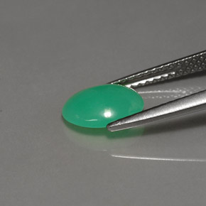 Chrysoprase Vert naturelle Coupe ovale, 1.21 ct, Translucide