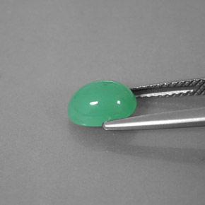 Chrysoprase vert naturelle transparent, 1,66 ct, transparent / translucide